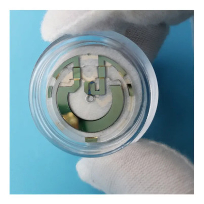 Flexible beam quartz pendulum used for inertial navigation
